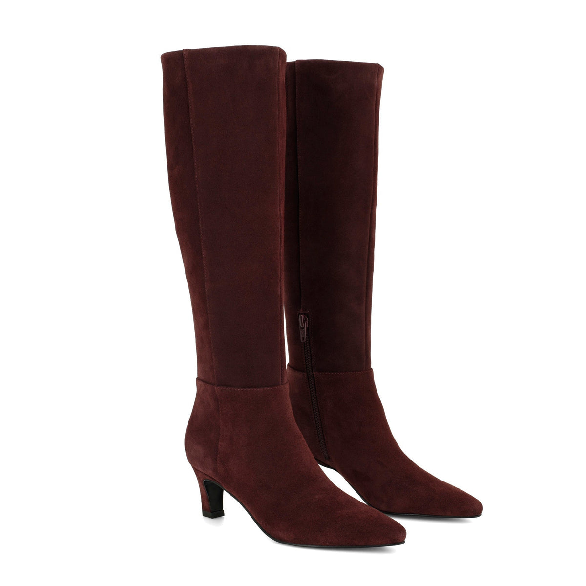 Paulene Knee High Leather Boots